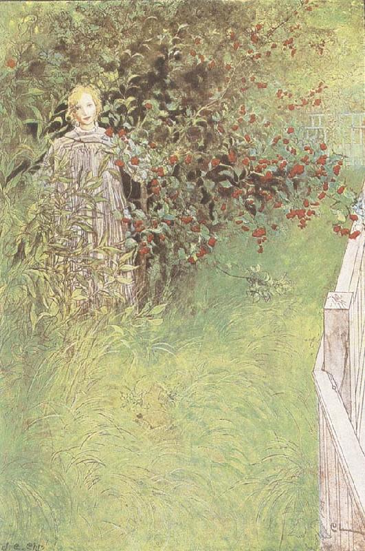 Carl Larsson A Fairy Spain oil painting art